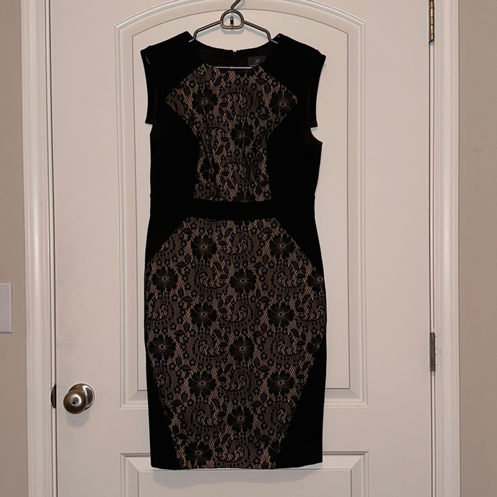NWOT Adrianna Papell Dress 16